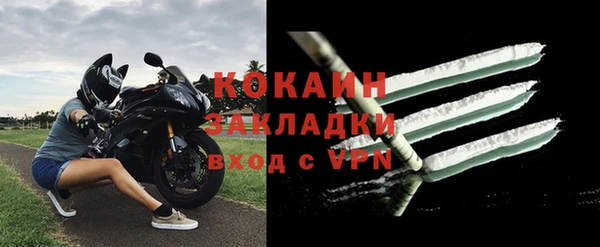 стаф Майский