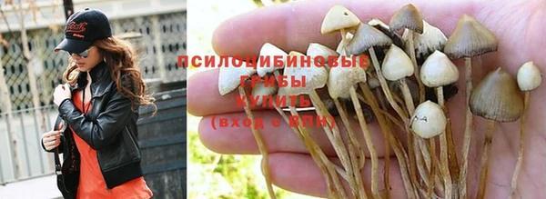 ешки Магадан