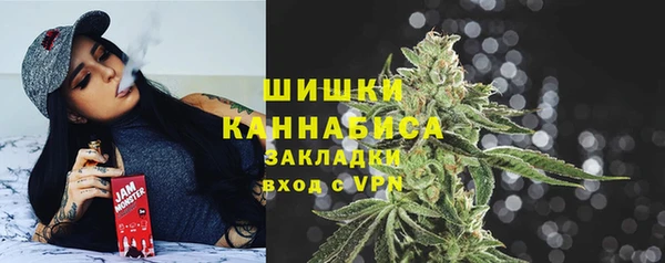стаф Майский